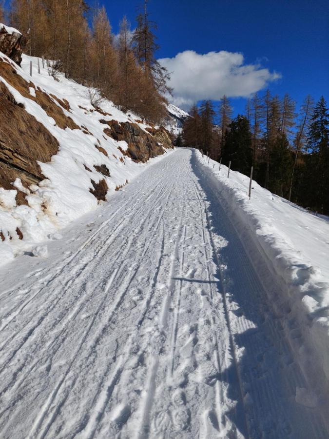 Ferienwohnung Mit Charme - Lenzerheide Lain Vaz-Obervaz Eksteriør billede